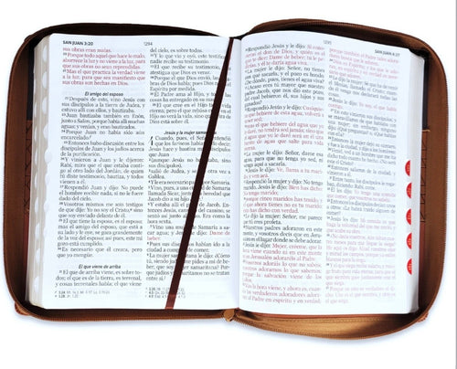 Biblia con Cierre Letra Gigante 15 puntos RV1960, imit piel tricolor café con índice
