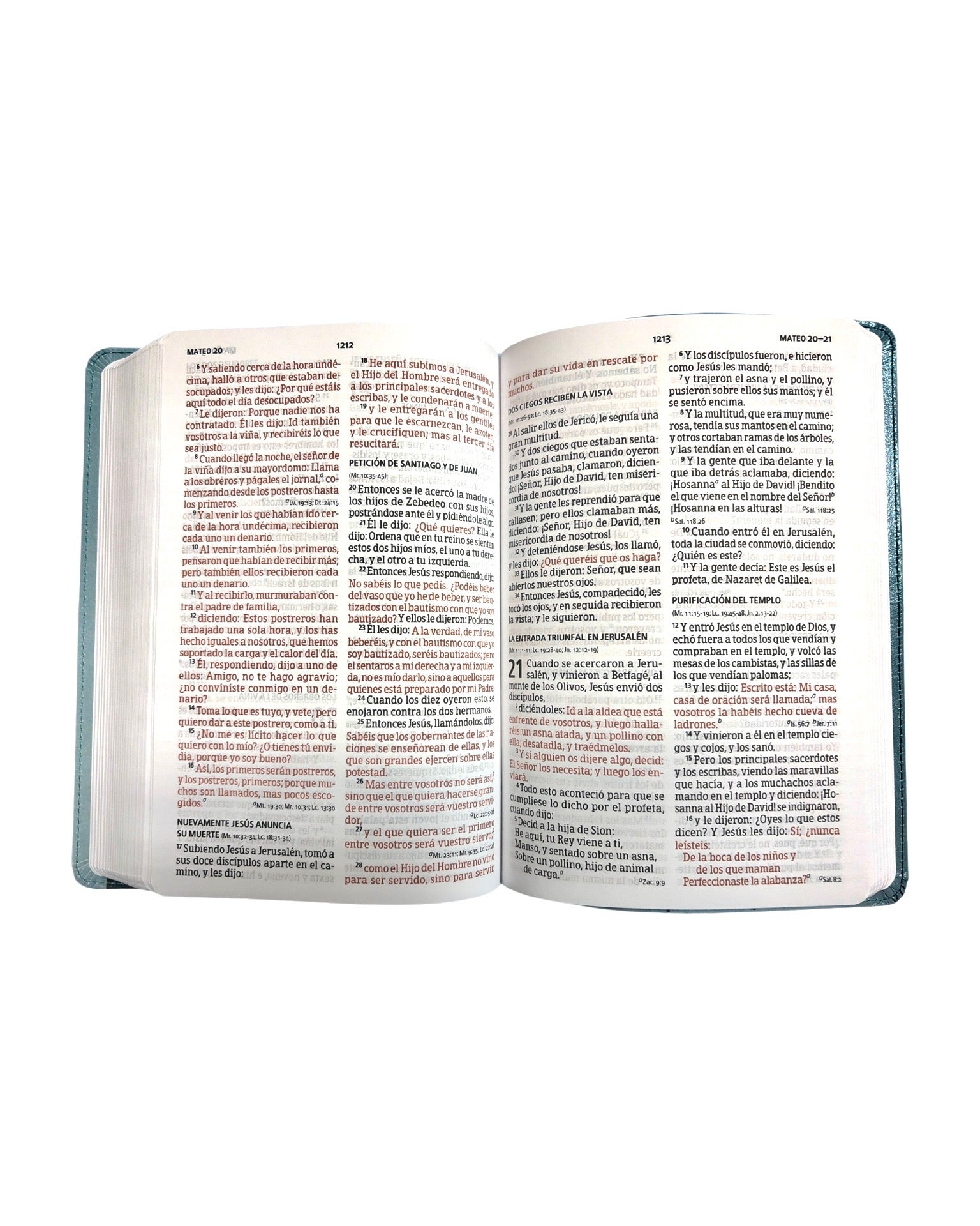 Biblia RVR1960 -tradicional & verdadera
