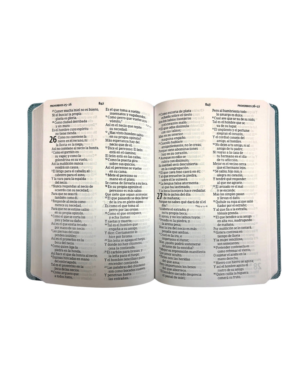 Biblia RVR1960 -tradicional & verdadera