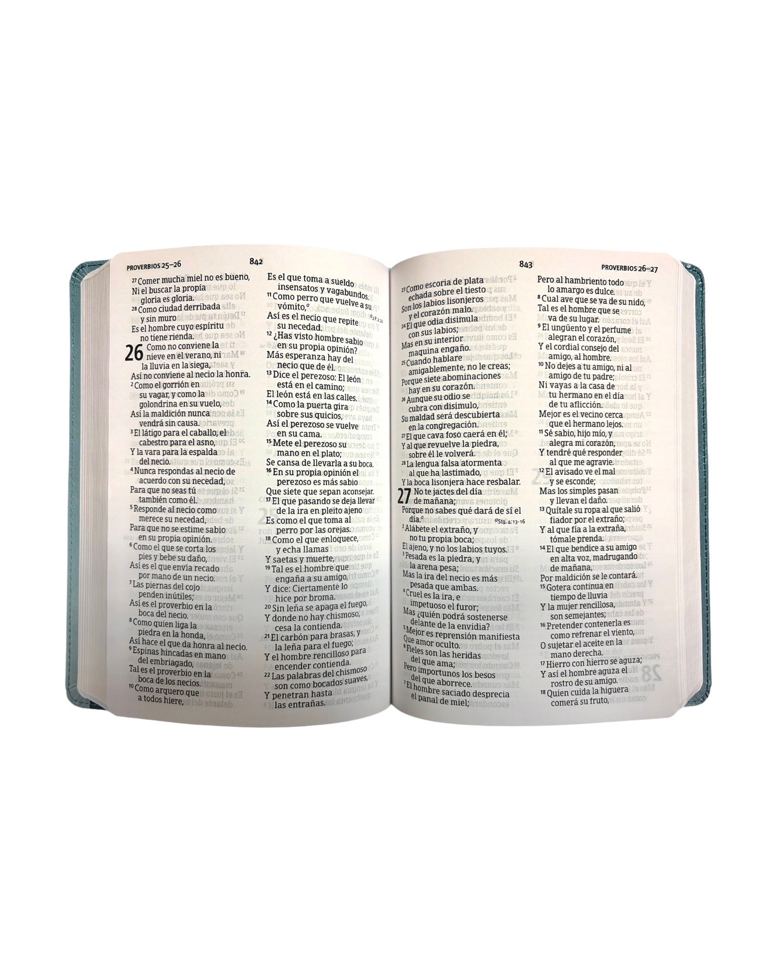 Biblia RVR1960 -tradicional & verdadera