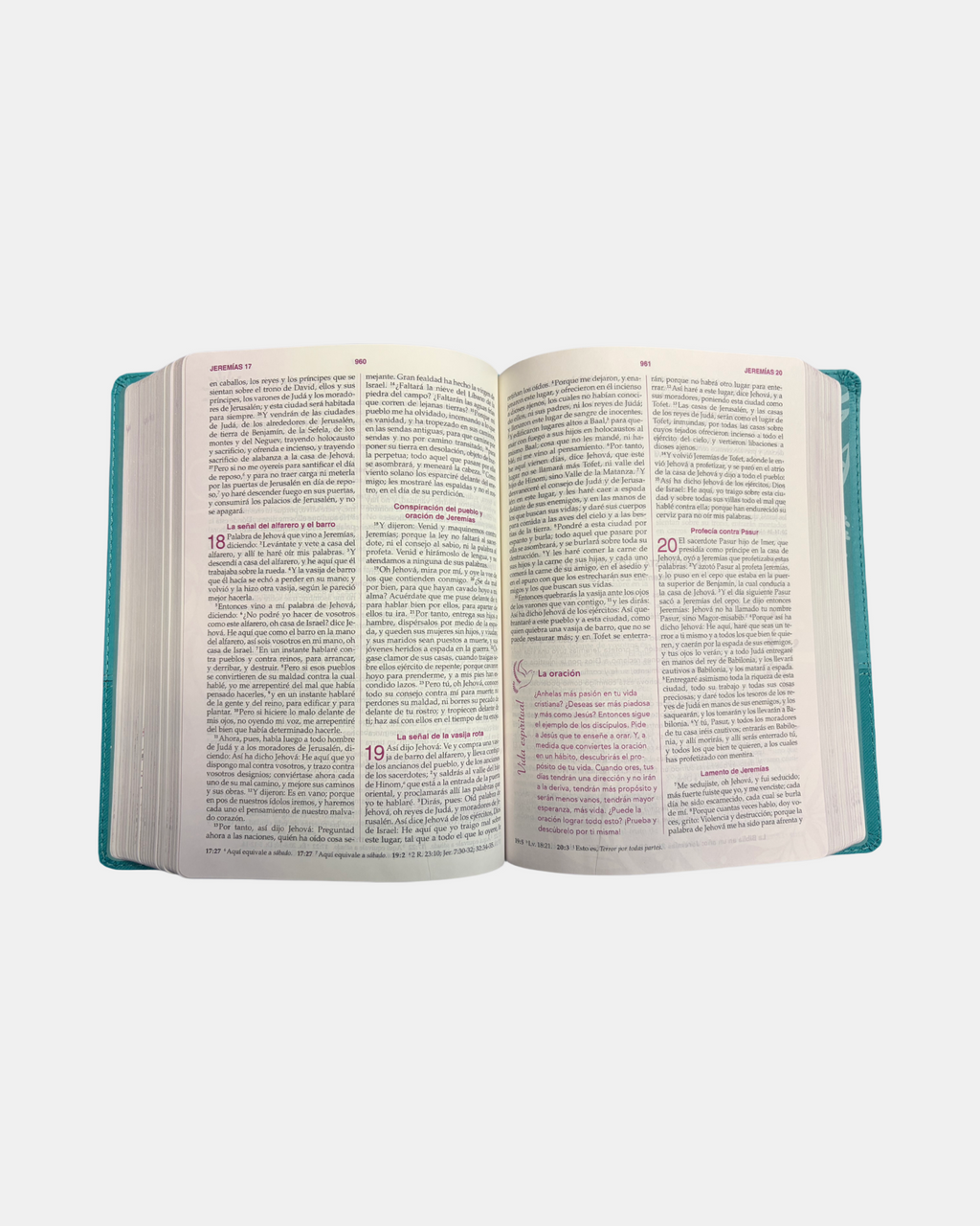 Biblia de la mujer conforme al corazón De Dios