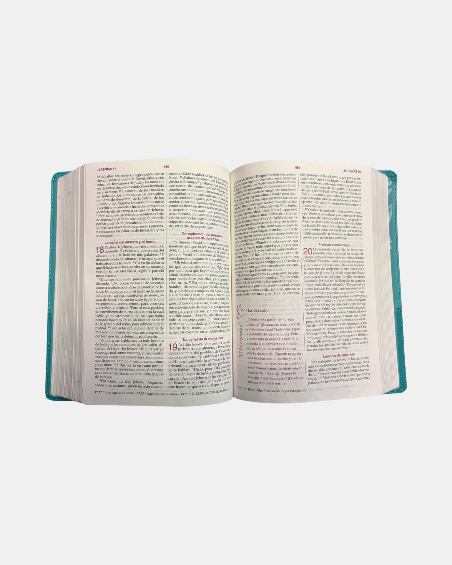 Biblia de la mujer conforme al corazón De Dios