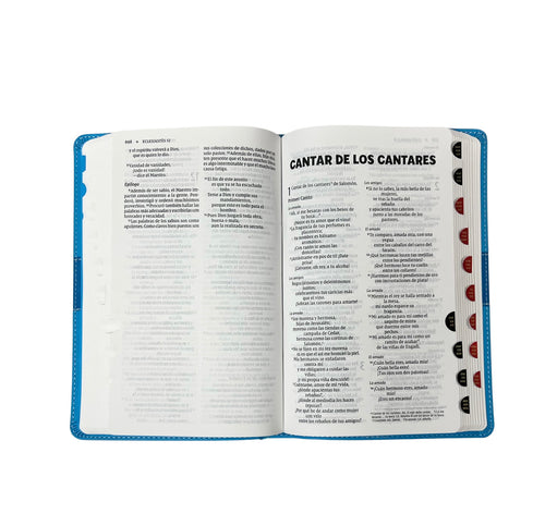Biblia para Niños NVI
