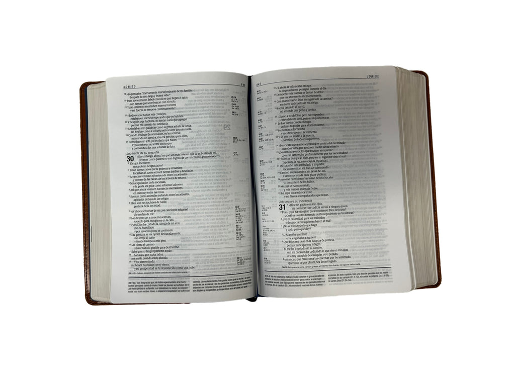 Diario Vivir Biblia De Estudio NTV