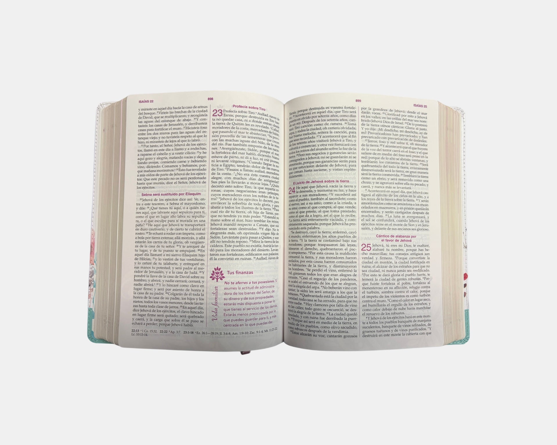 Biblia de las Mujer conforme al corazón De Dios
