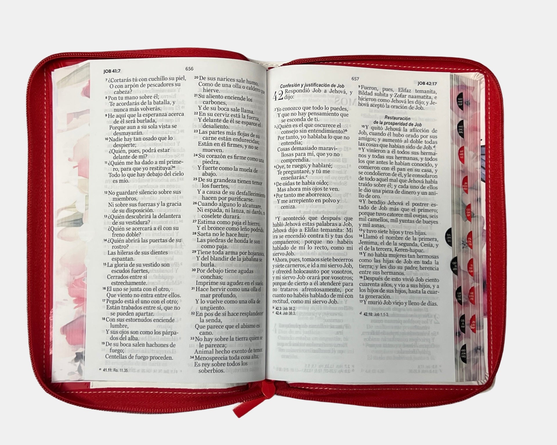 Biblia Rvr1960