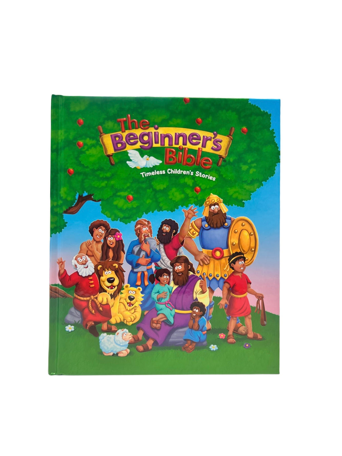 The Beginning Bible