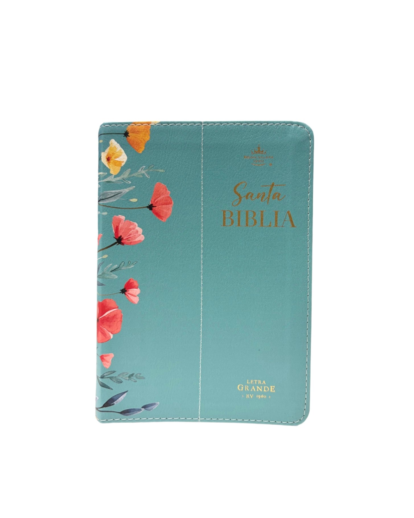 Biblia Reina Valera 1960