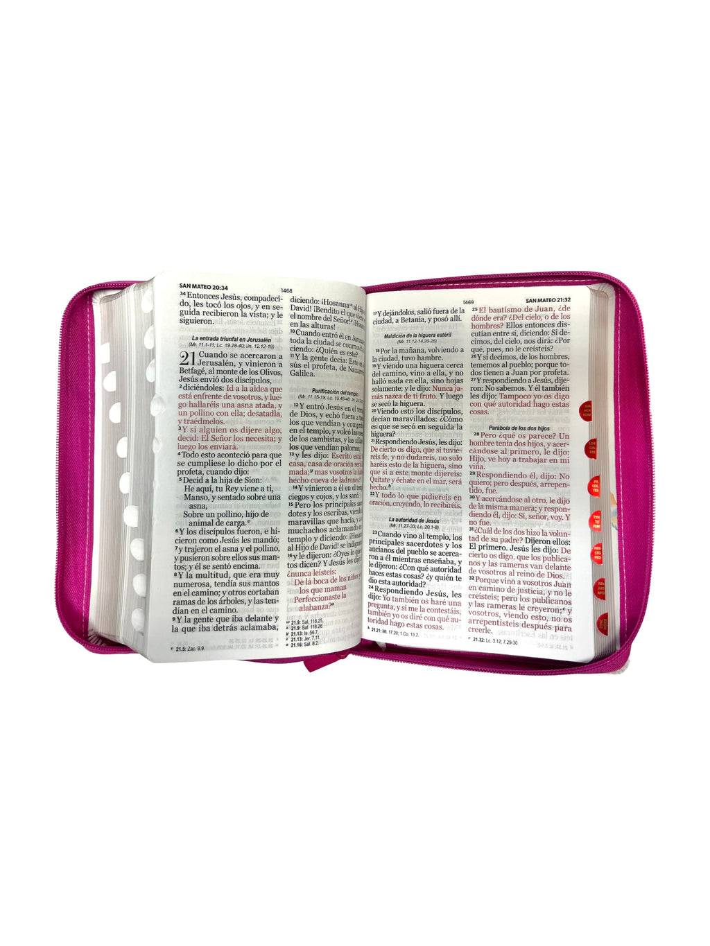 Biblia Rvr 1960  con cierre y índice Flores Rosa