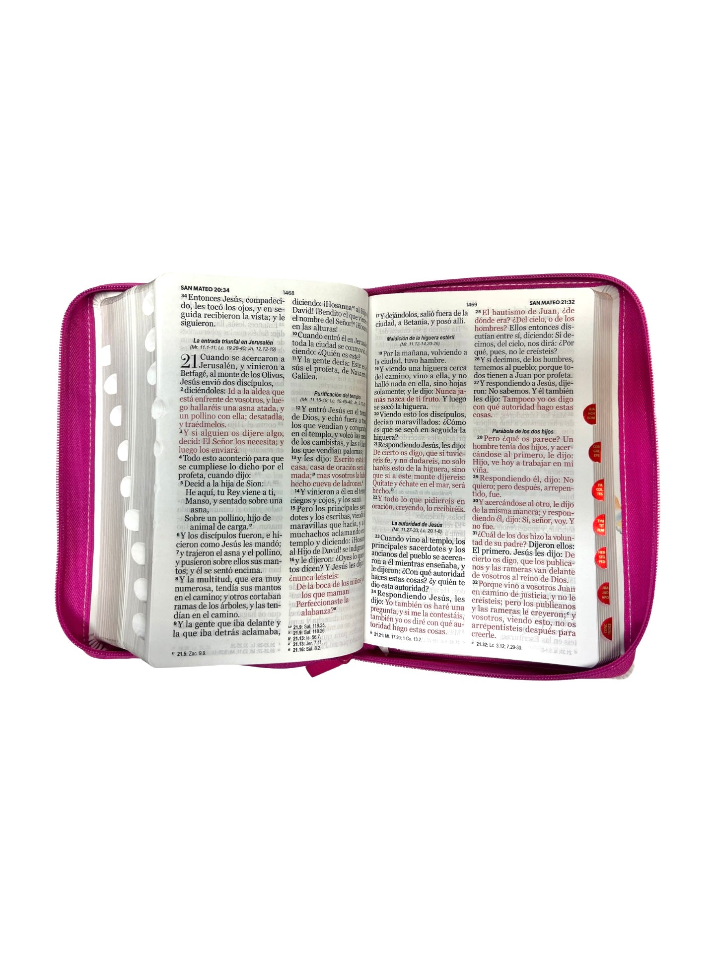 Biblia Rvr 1960  con cierre y índice Flores Rosa