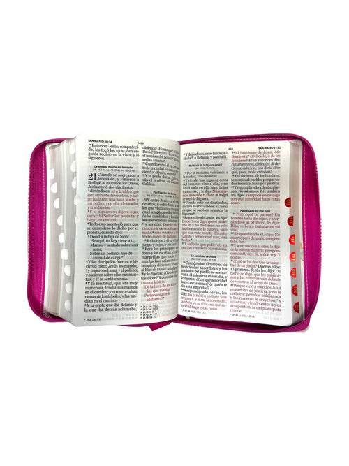 Biblia Rvr 1960  con cierre y índice Flores Rosa