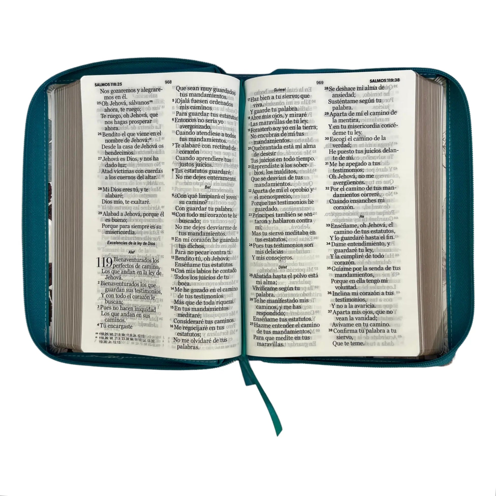 Biblia con cierre imit pie Flores Turquesa 14 punto Rvr1960
