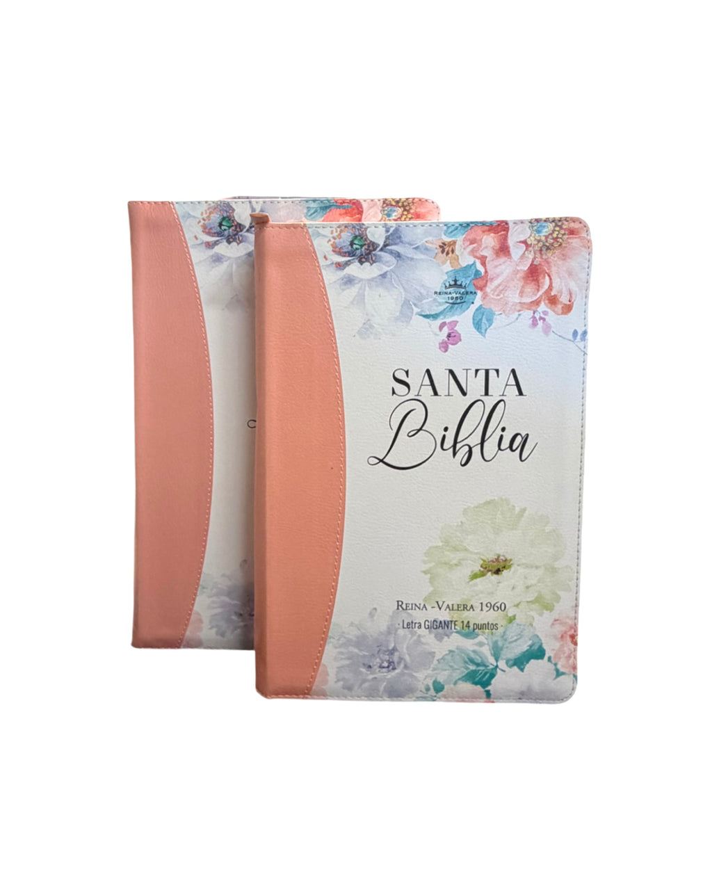 Biblia Rvr 1960