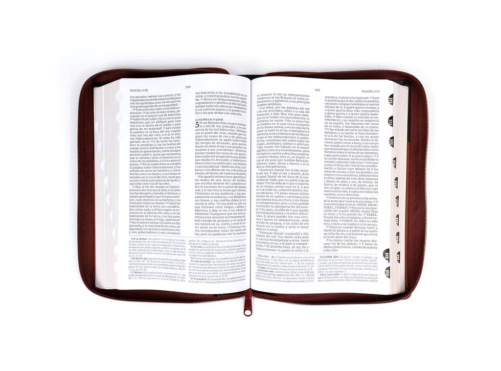 RVR 1960 Biblia de estudio MACARTHUR