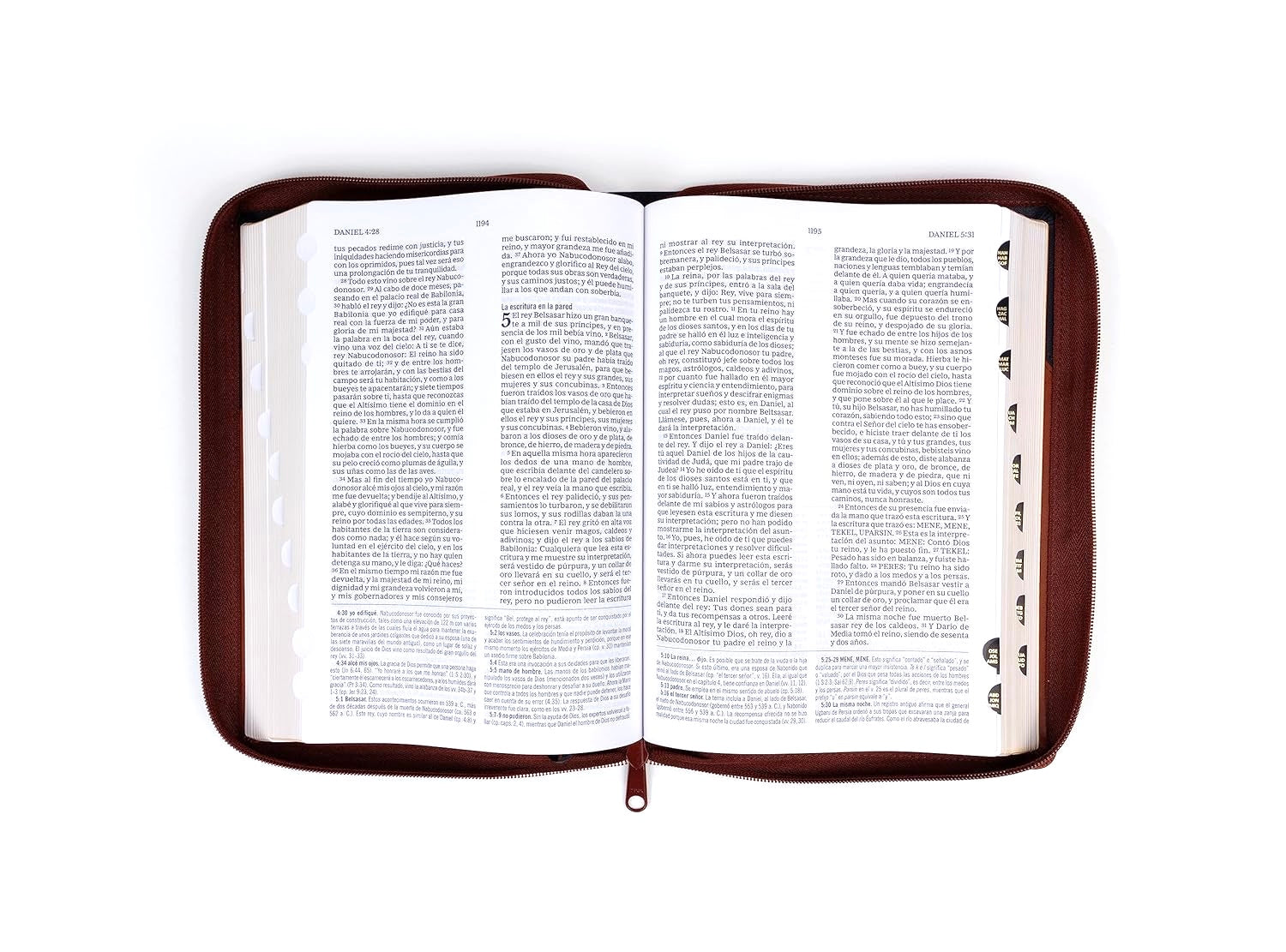 RVR 1960 Biblia de estudio MACARTHUR