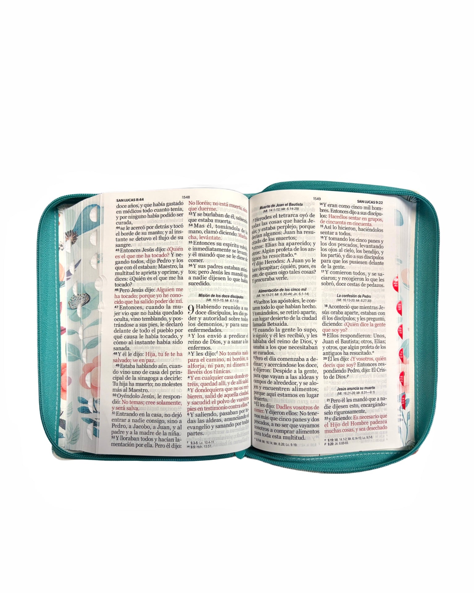 biblia Rvr 1960 con cierre y índice