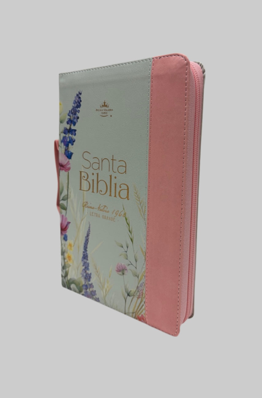 Biblia Rvr 1960 con Cierre, 12 puntos