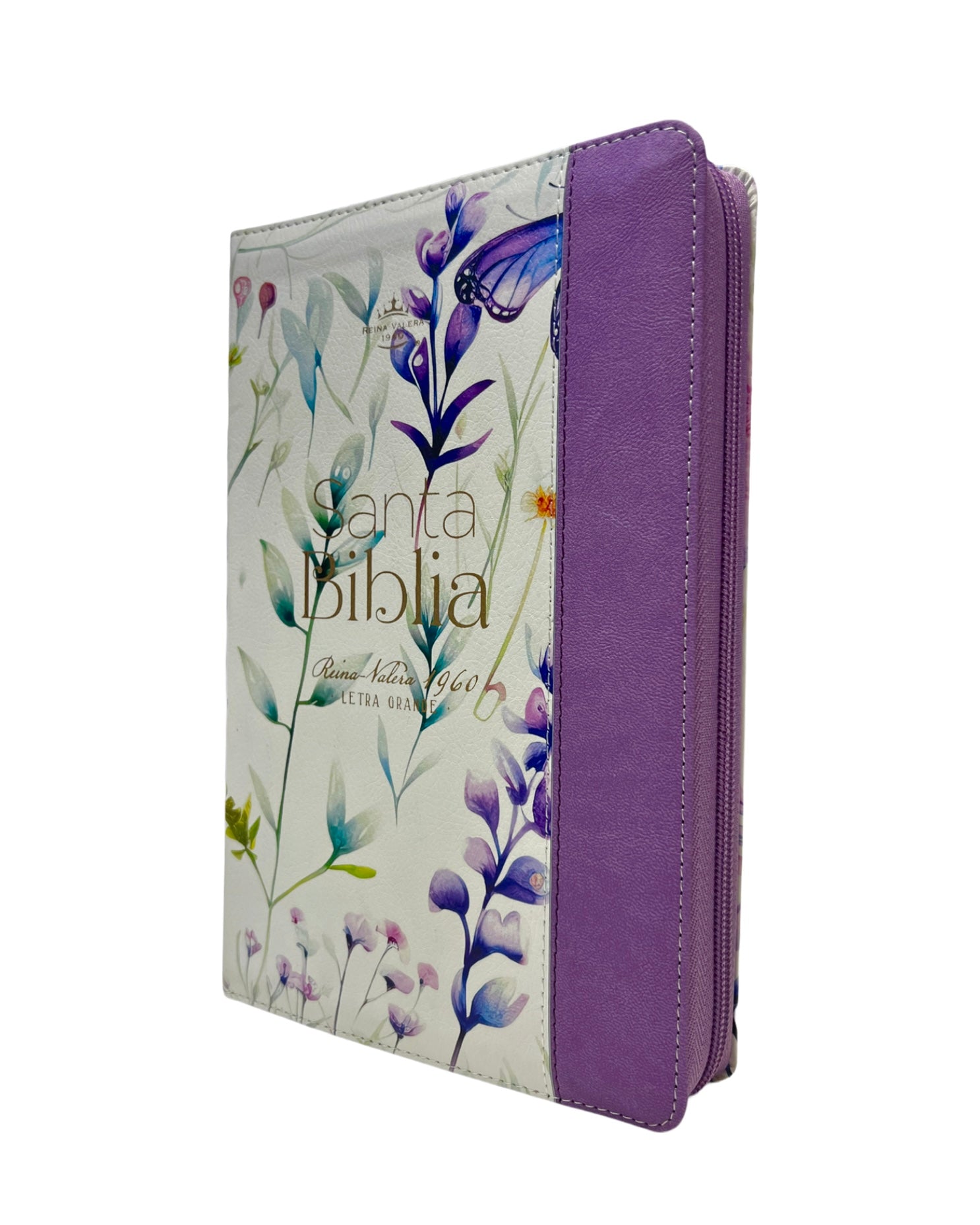 Biblia Rvr 1960