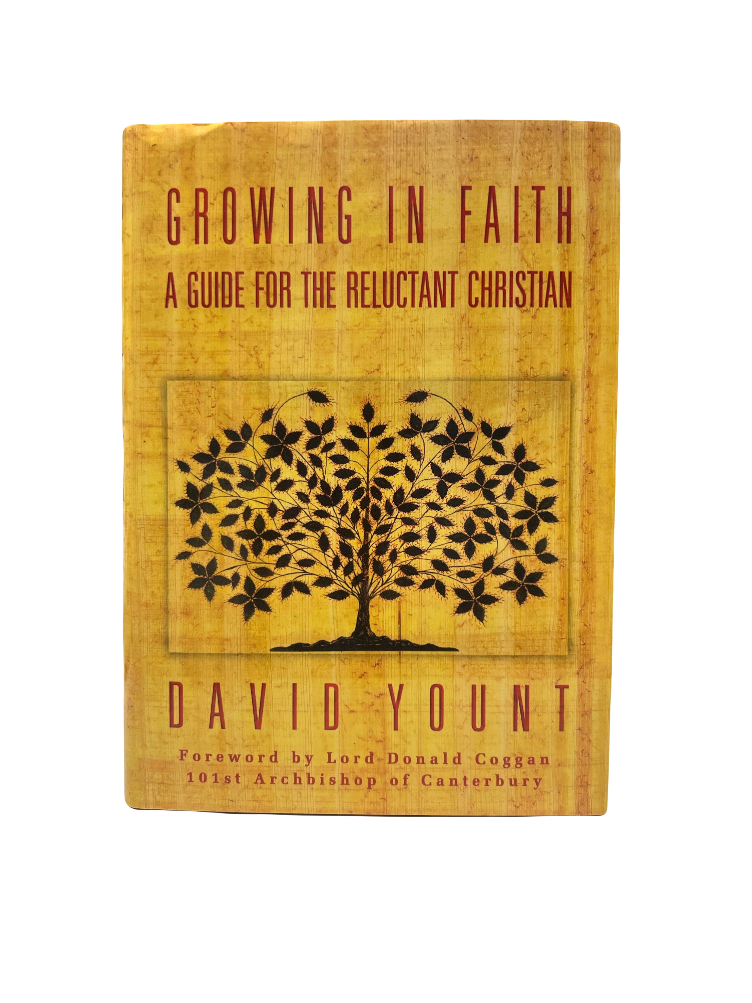 Growing in Faith: A Guide for the Reluctant Christian
