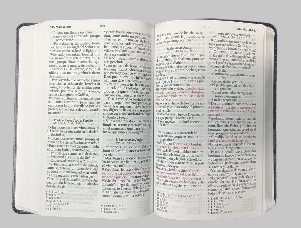 Biblia Letra Grande 12 puntos RV1960, imit piel con silueta de león