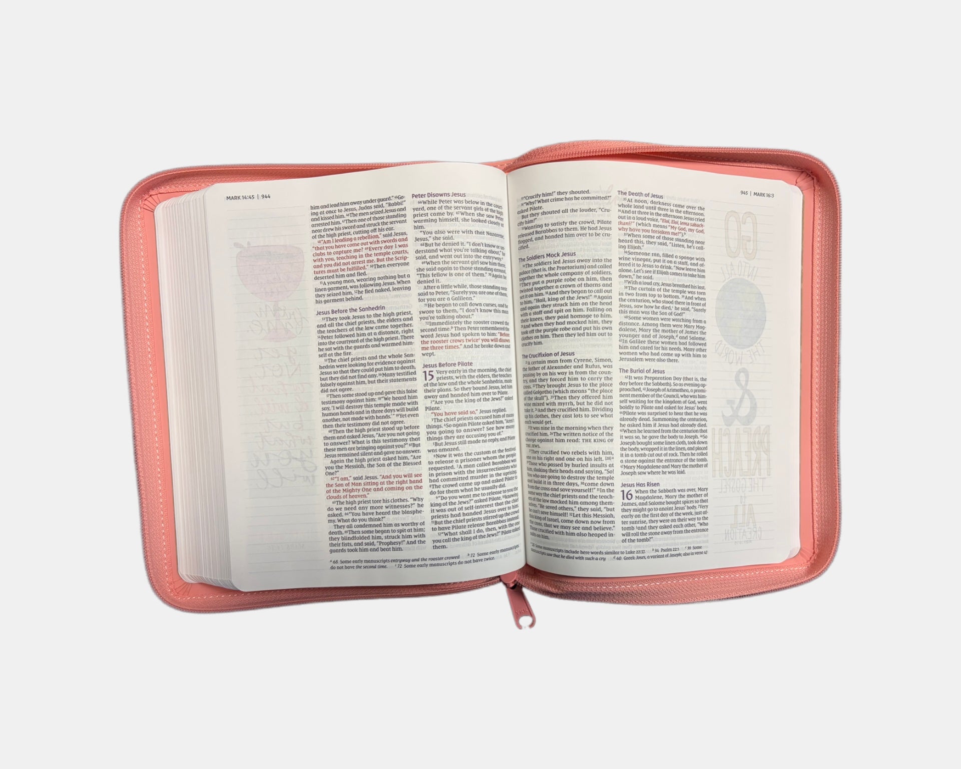 NIV Beautiful word Bible for girl