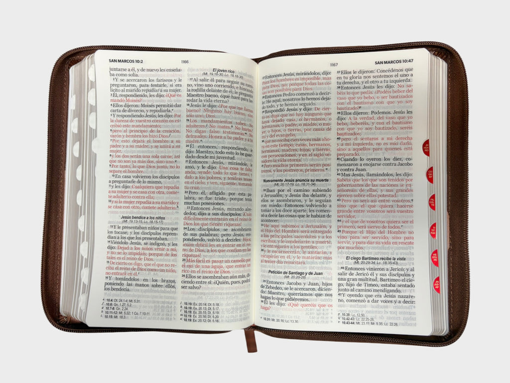Biblia Rvr 1960