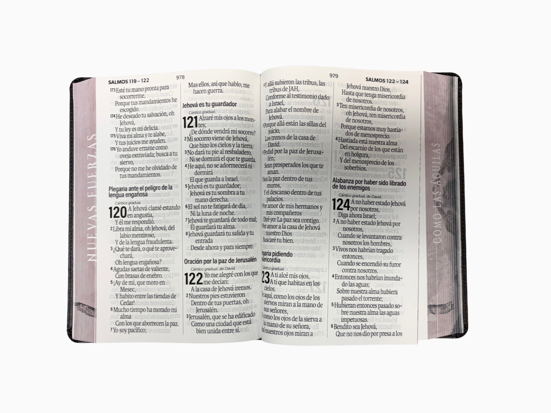 Santa Biblia Rvr1960 Portada De Aguila