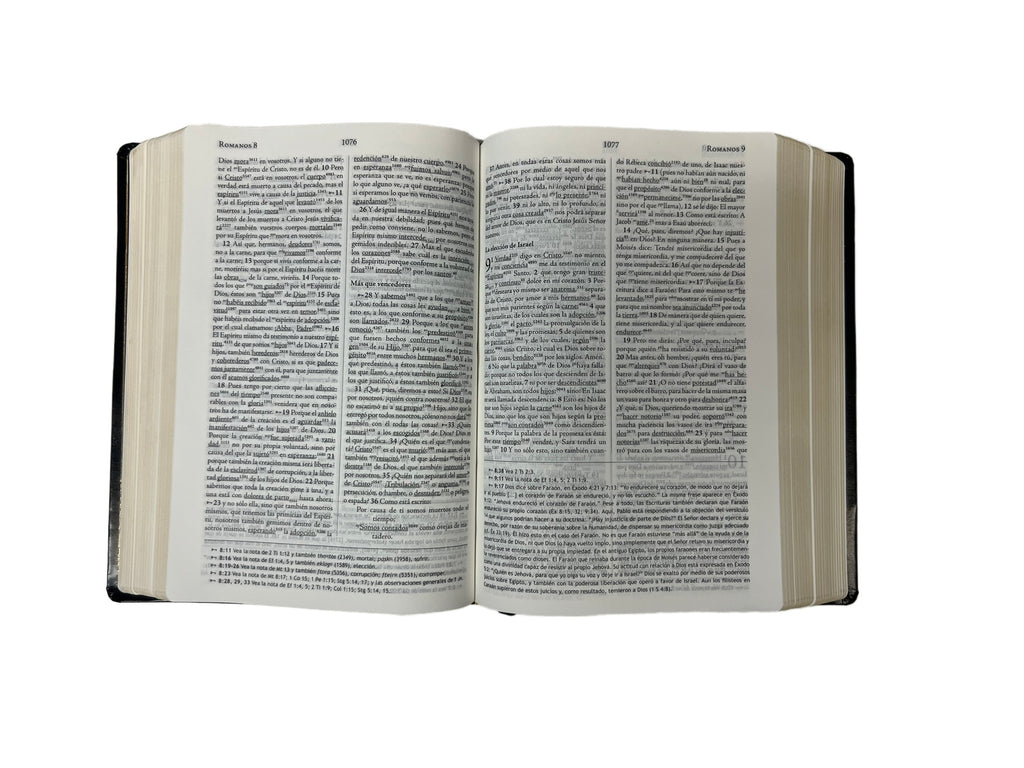 Biblia de estudio Clave Rvr1960