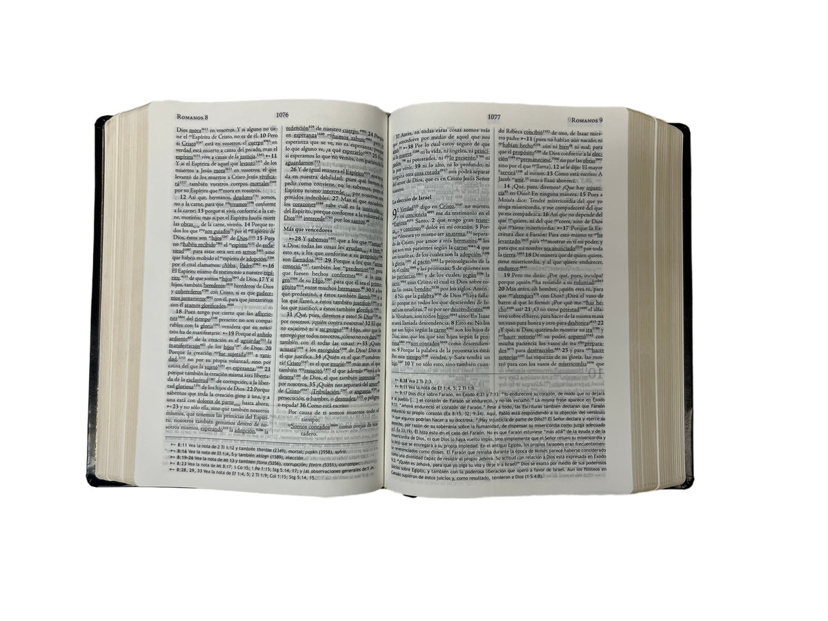 Biblia de estudio Clave Rvr1960