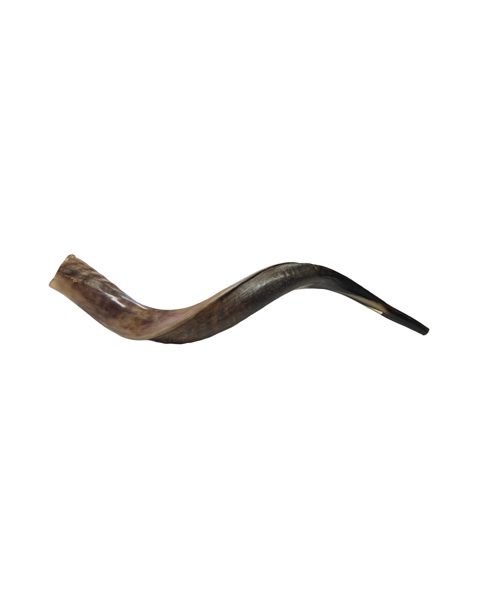 Shofar