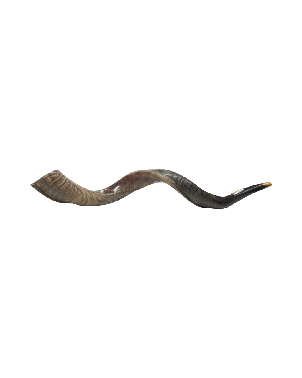 Shofar