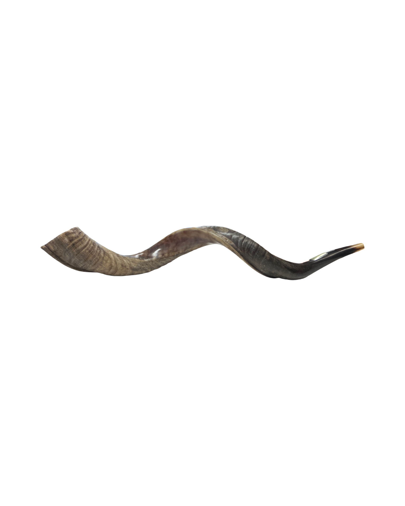 Shofar
