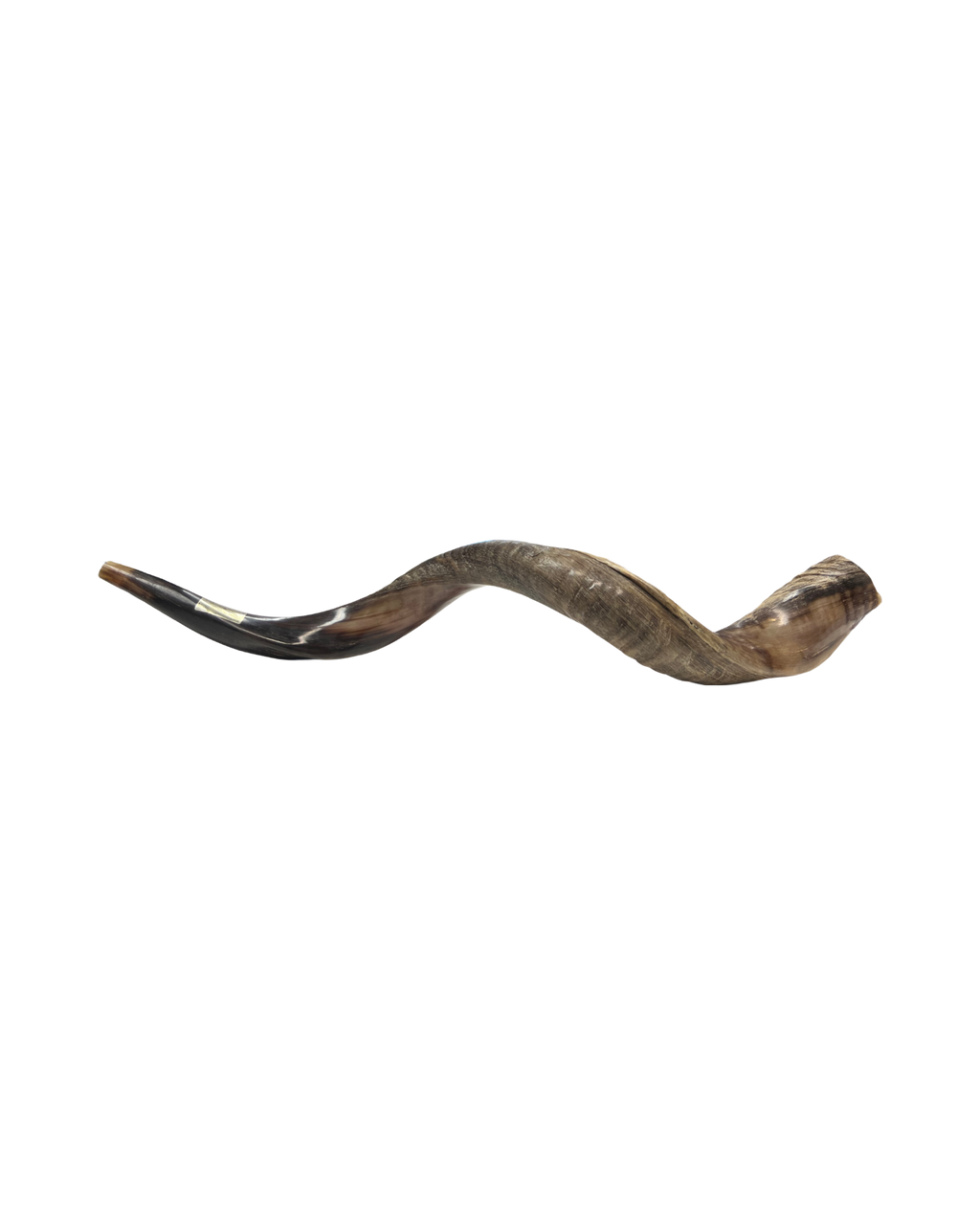 Shofar