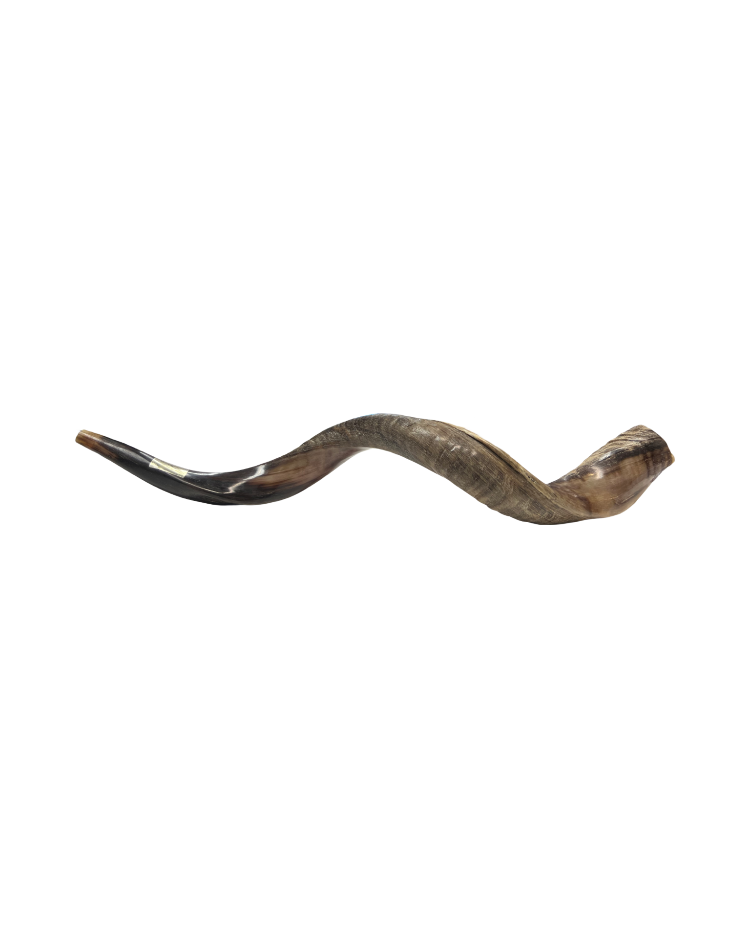 Shofar