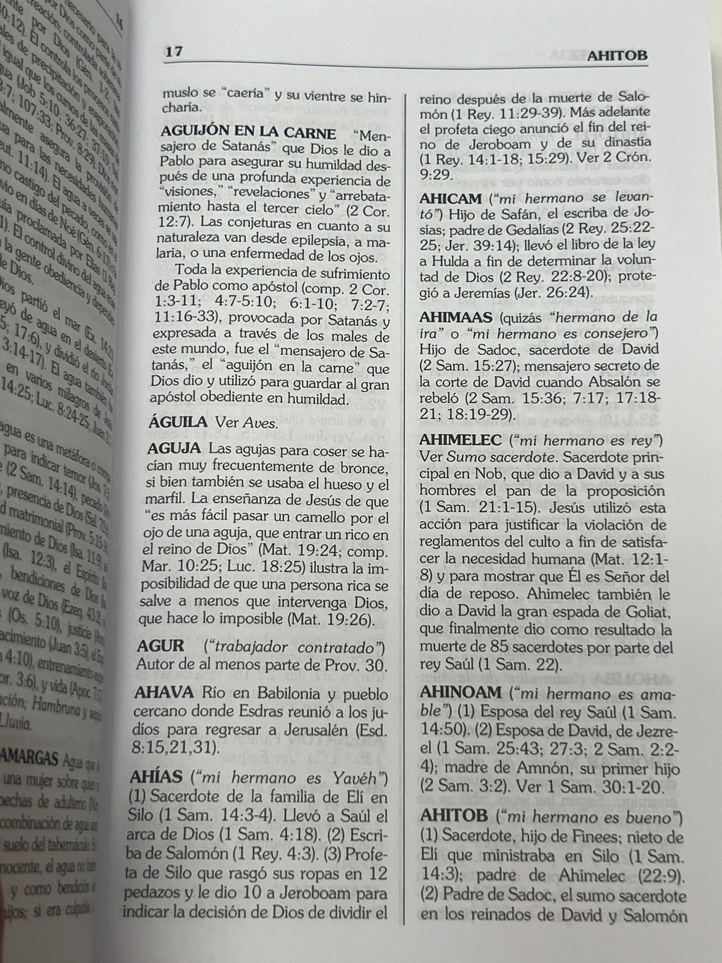 Diccionario Biblco Conciso HOMAN