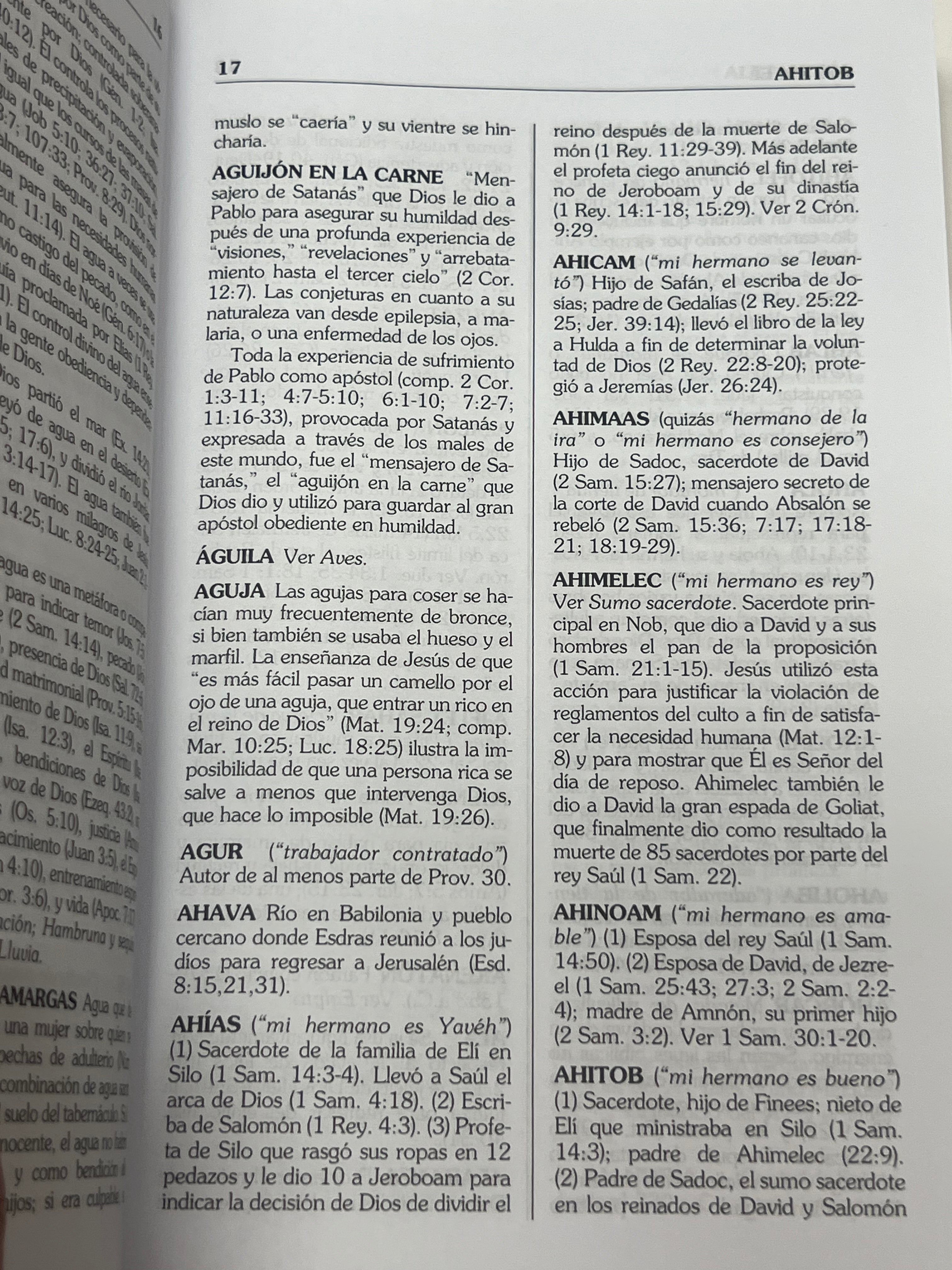 Diccionario Biblco Conciso HOMAN