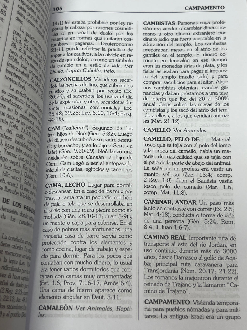 Diccionario Biblco Conciso HOMAN