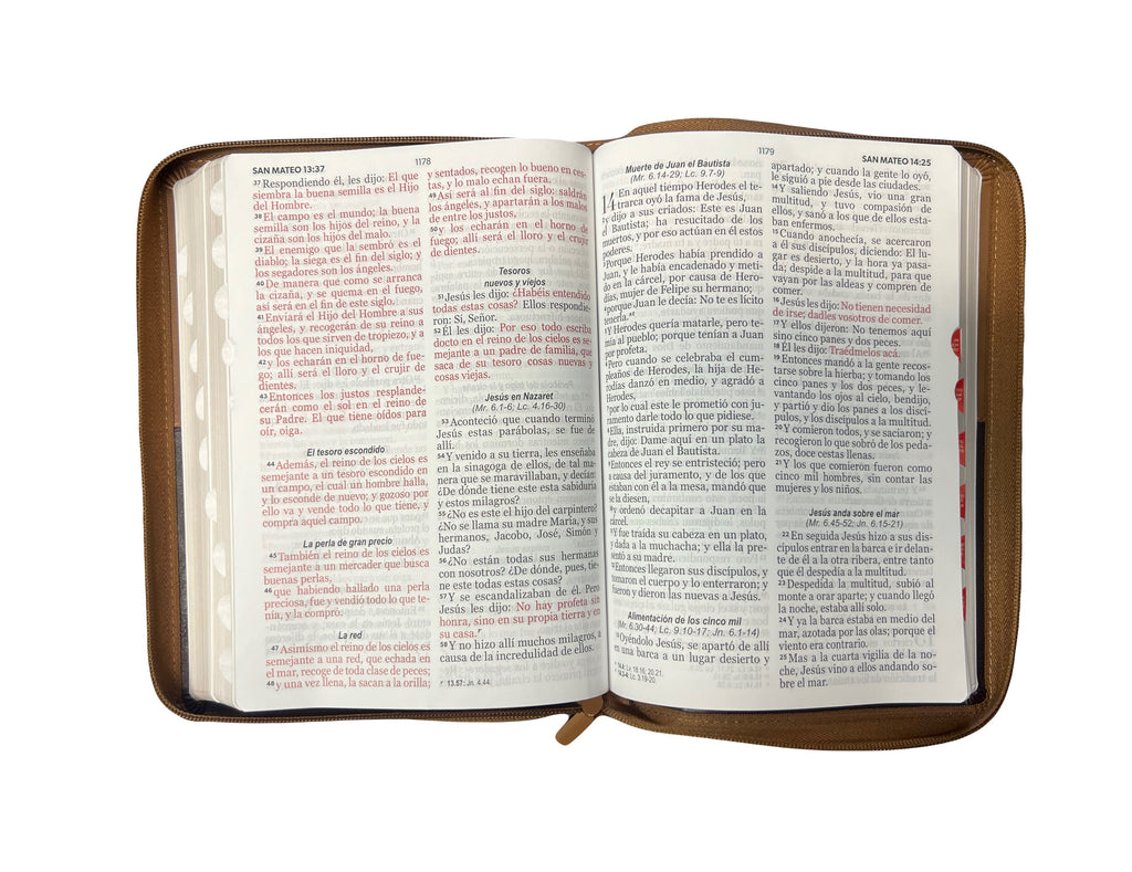 biblia rvr1960 Portada Con Simbolo Pescado