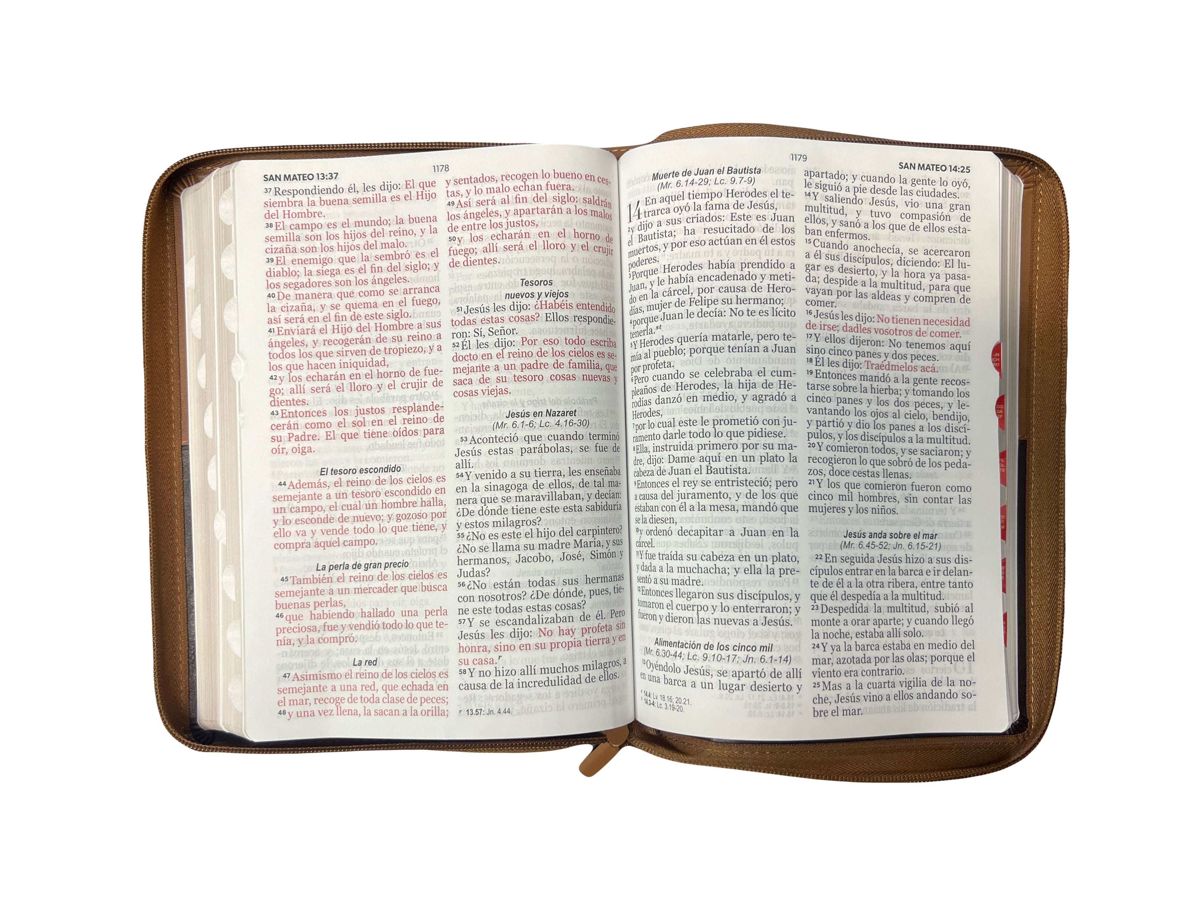 biblia rvr1960 Portada Con Simbolo Pescado