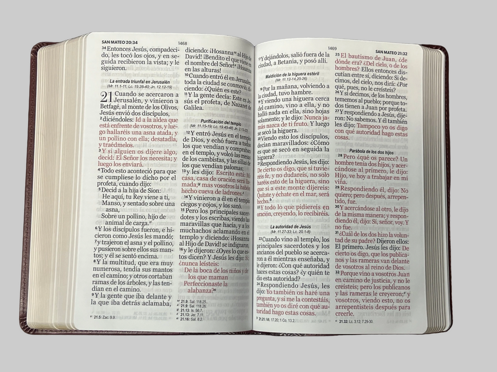 Biblia Rvr 1960 Tamano Manual