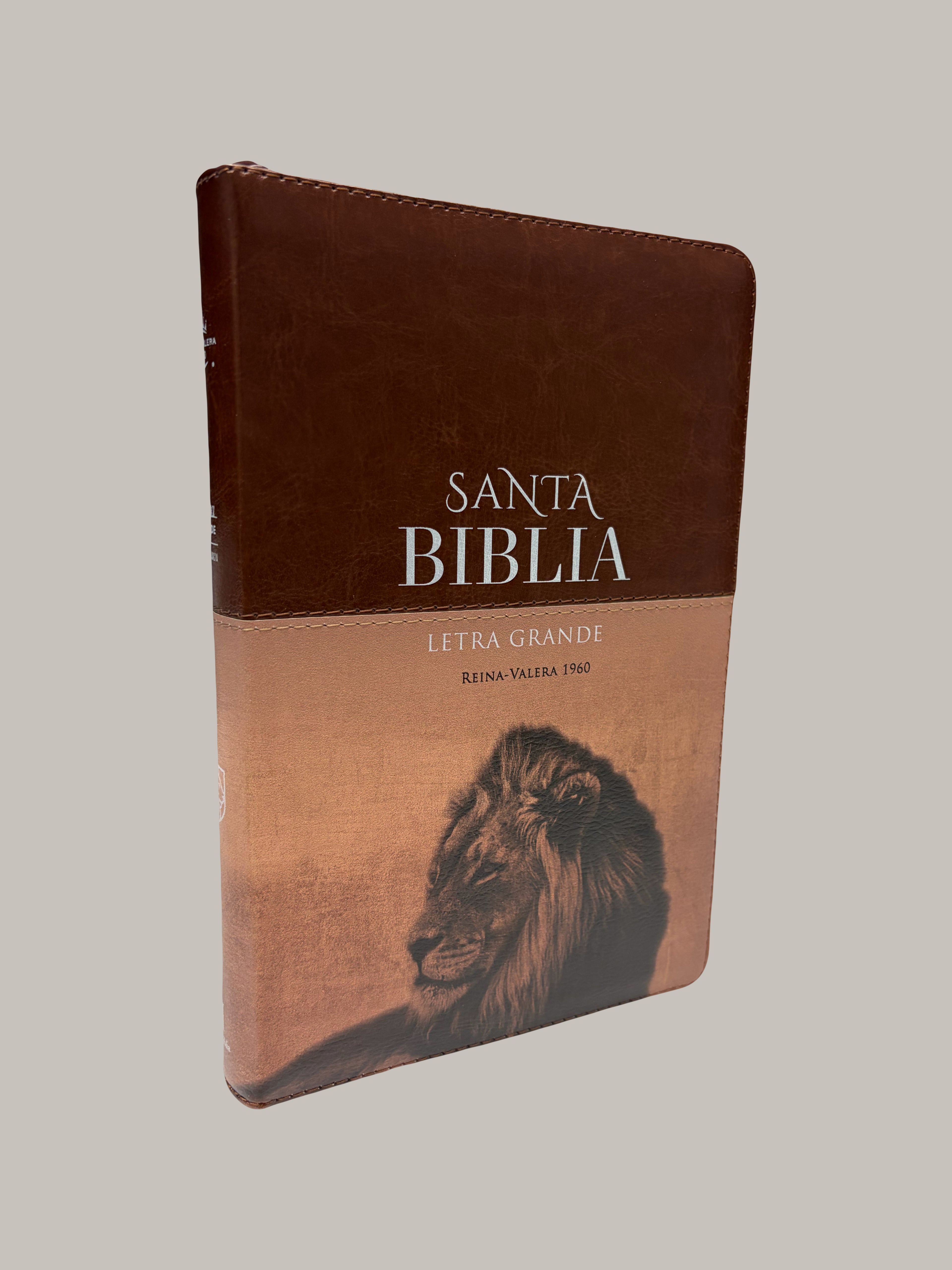 Biblia Rvr 1960