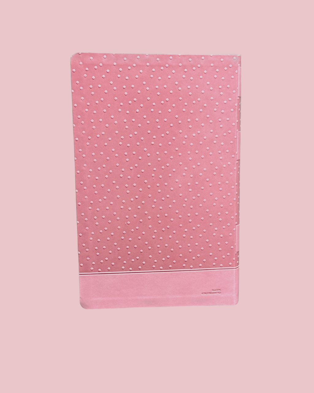 Holy bible International childern's Bible (precioud Moments)