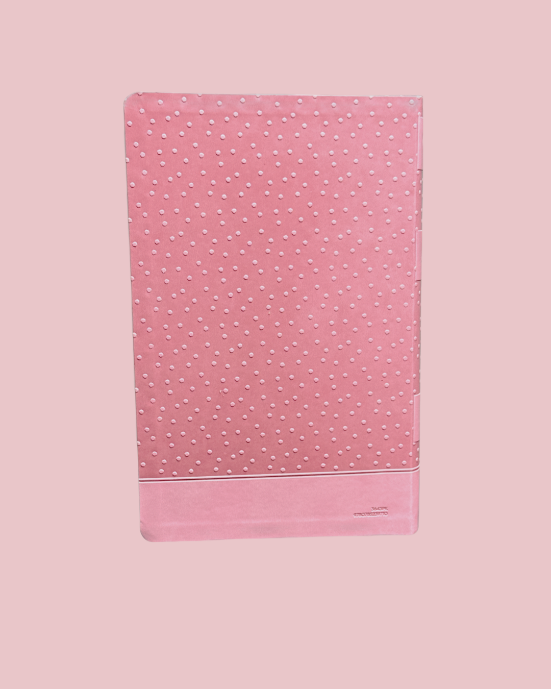 Holy bible International childern's Bible (precioud Moments)