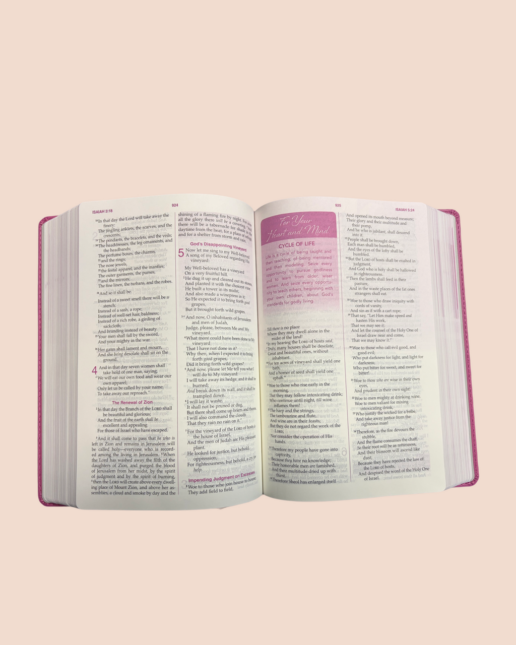 A woman after God’s Own Heart Bible