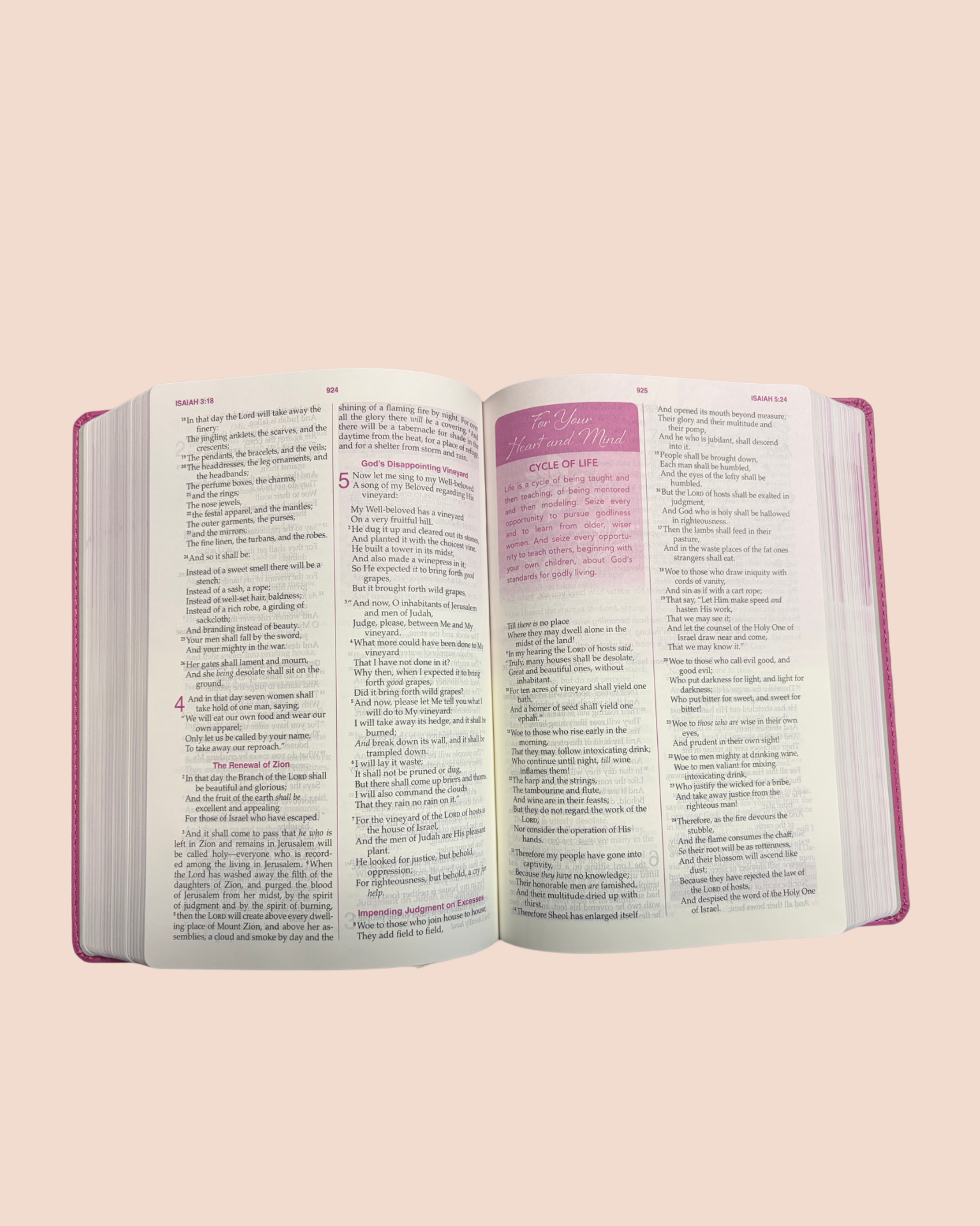 A woman after God’s Own Heart Bible