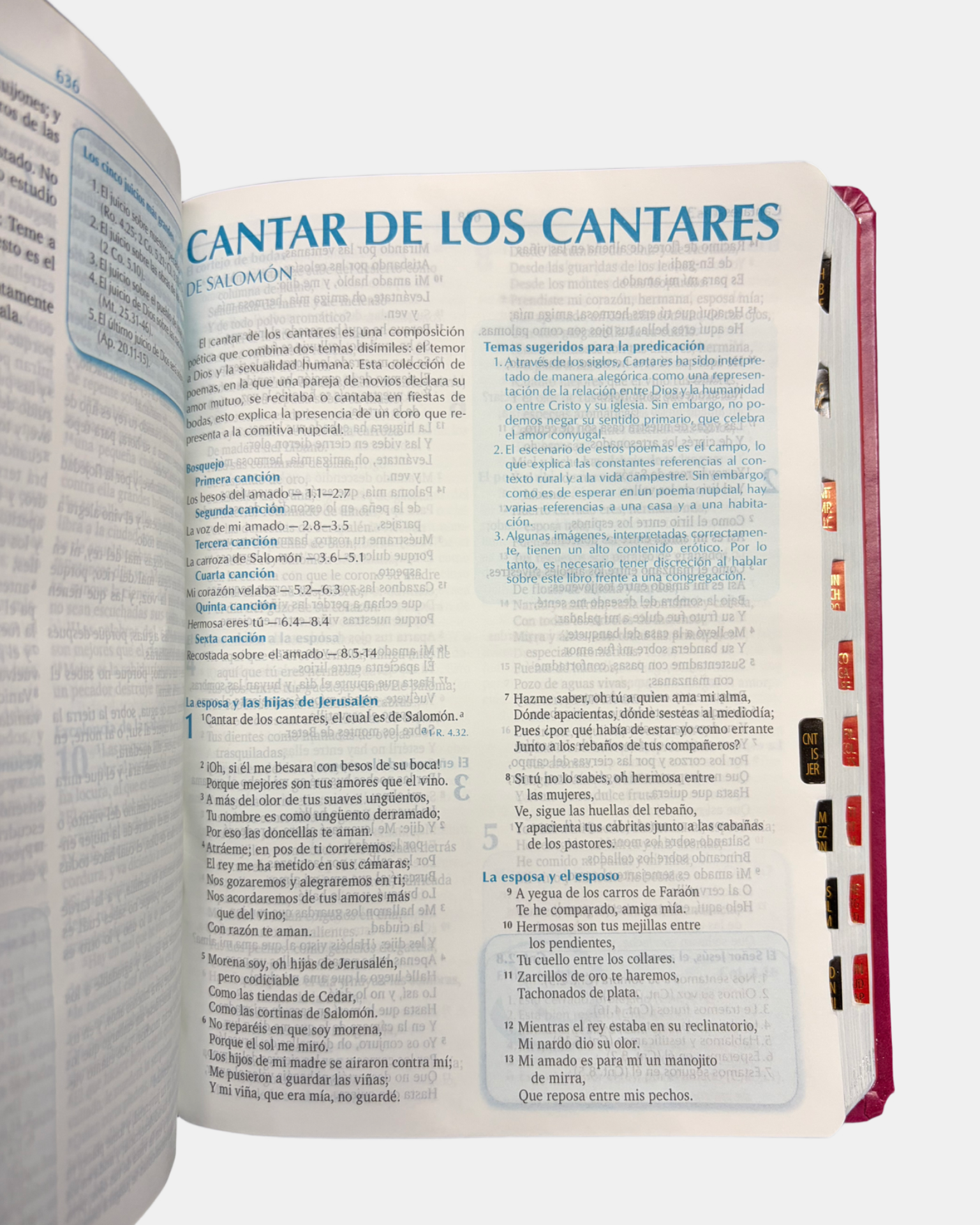 La biblia para la predicación rvr1960