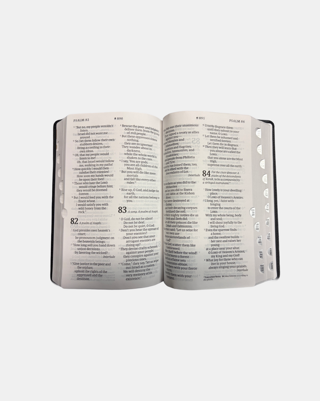 Holy Bible NLT personal size with indexes