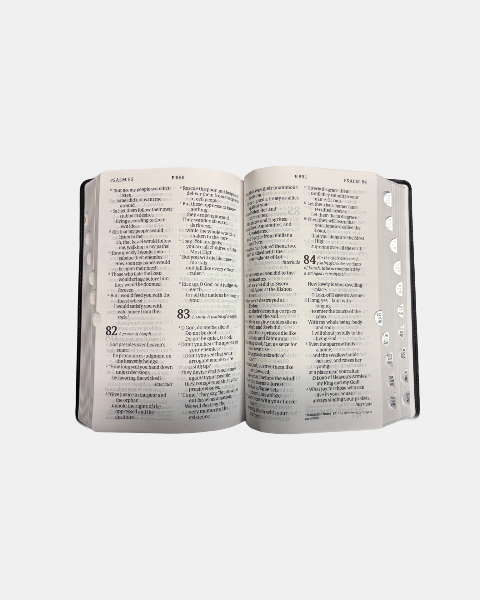 Holy Bible NLT personal size with indexes