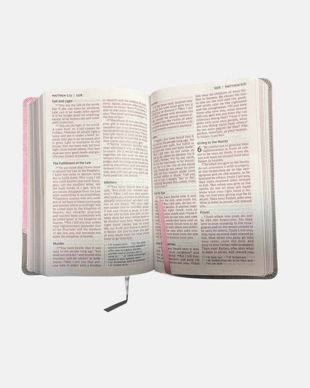 Holy Bible NIV  personal size