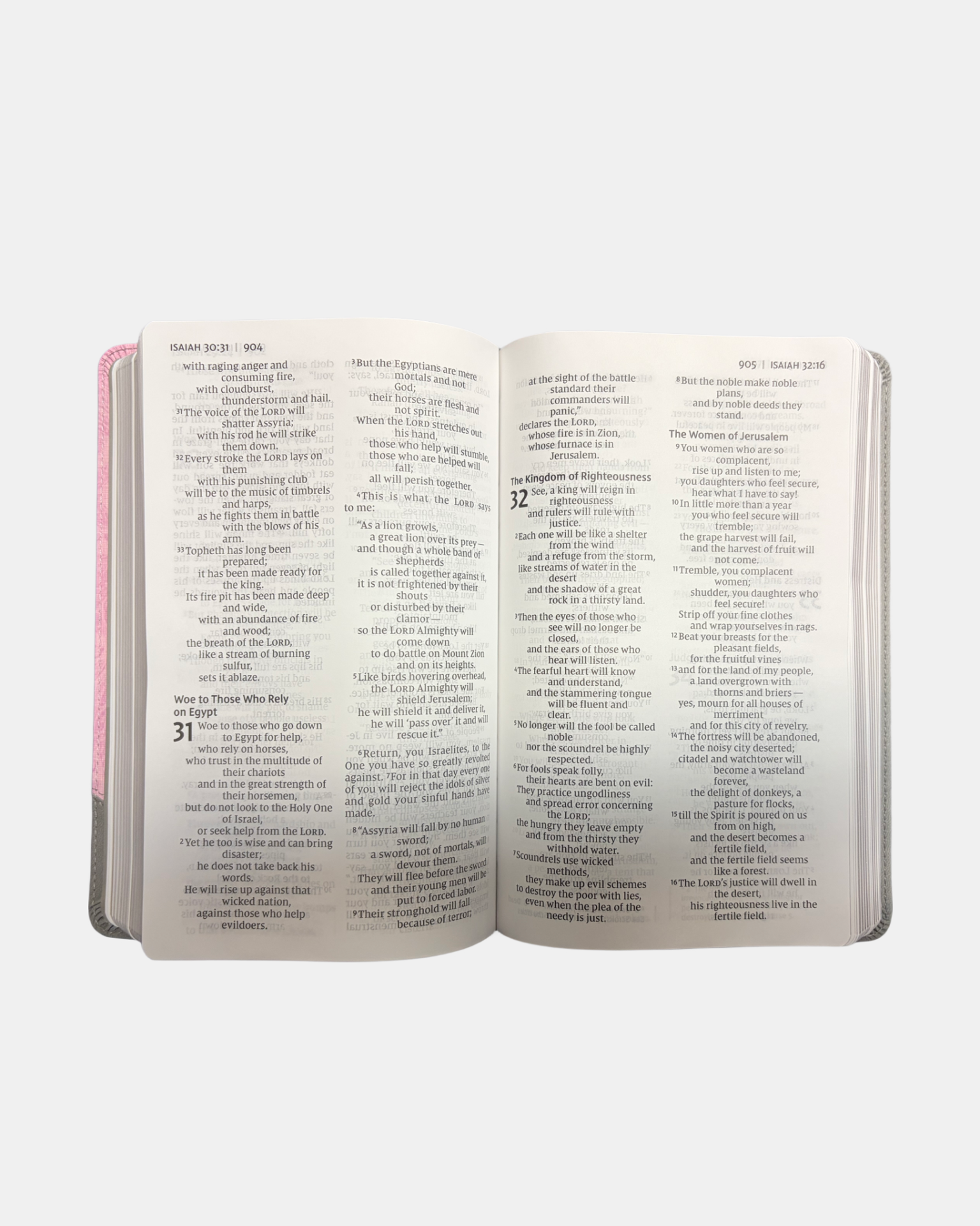 Holy Bible NIV  personal size